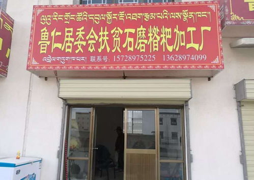 我校段玉平校友榮獲 全國(guó)脫貧攻堅(jiān)先進(jìn)個(gè)人 稱號(hào)丨將扶貧詩(shī)篇寫在海拔4700米